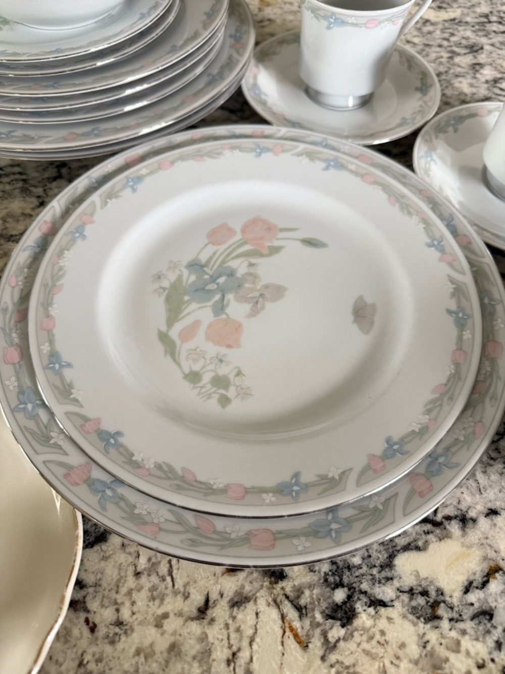 Illusions by Excel Center Stage Luncheon Plates 9”